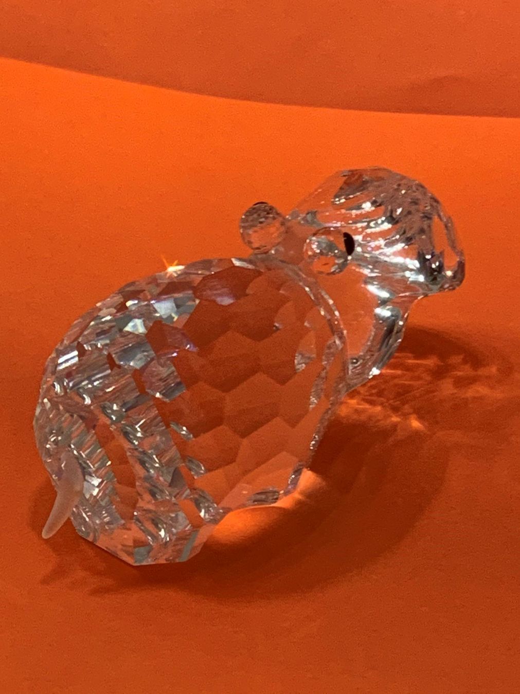 Swarovski Statuette: Swarovski Nildpferd – Nuovo (secondo la descrizione) da Oberglatt ZH venduto da Multimix 3