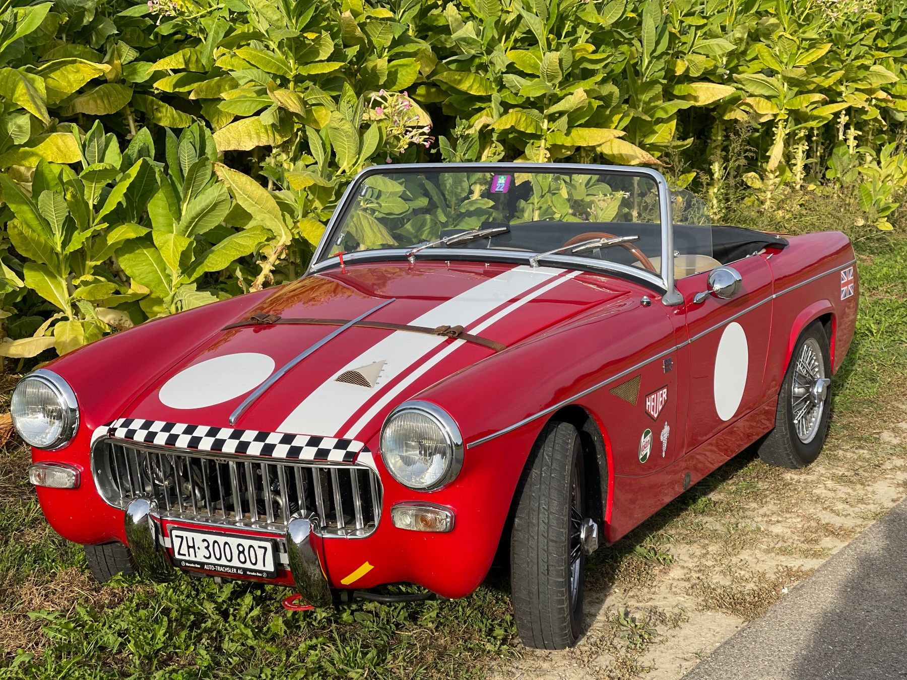 MG Autos: MG Midget 1963 Mk1 Oldtimer Veteran Retro look – D'occasion à Flaach par Alphae 1