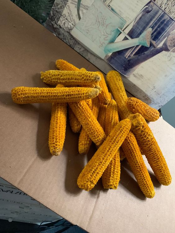 ULTECHNOVO Künstliche Maiskolben | 6 Stück Simulation Deko | Schaumstoff Mais Für Fotografie