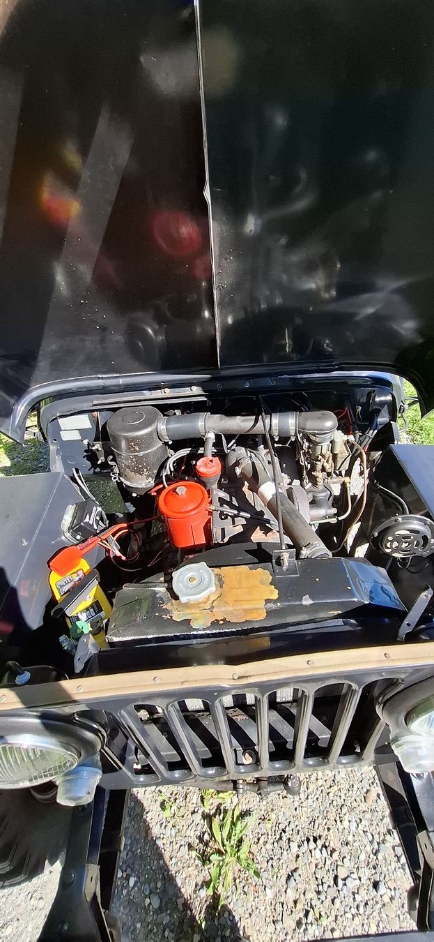 Jeep Automobili: Willys Jeep Cj 2A – Usato da Wila venduto da Aschm311 5