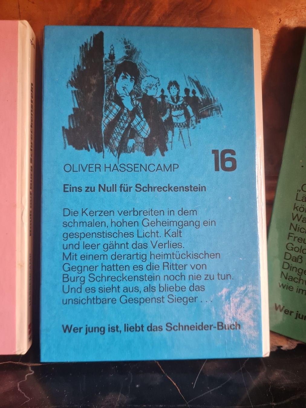 Libri: 4 Jugendbücher / Detektiv- & Abenteuerromane Schreckenstein – Usato da Bäretswil venduto da Rio. 4