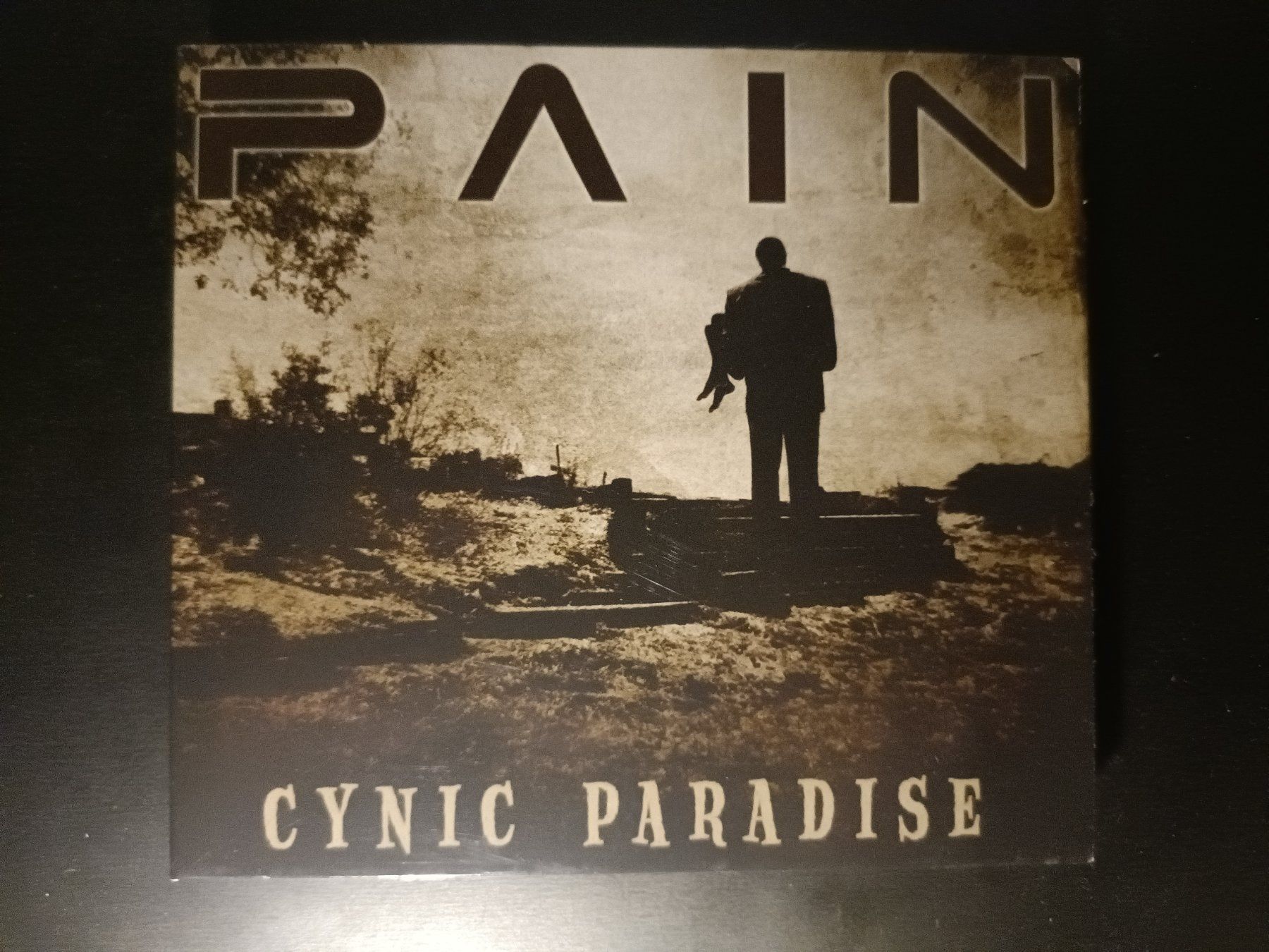 CD: Pain - Cynic Paradise – Usato da Aarau venduto da d_m_bf6g