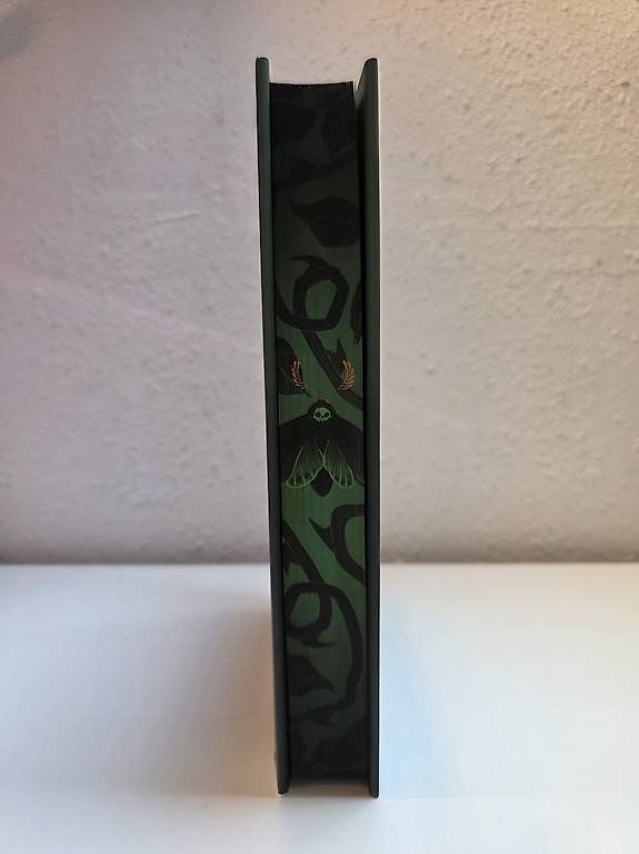 Livres: Fairyloot: Seven deadly Thorns – Neuf (Voir description) à Schlatt TG par severine99 4