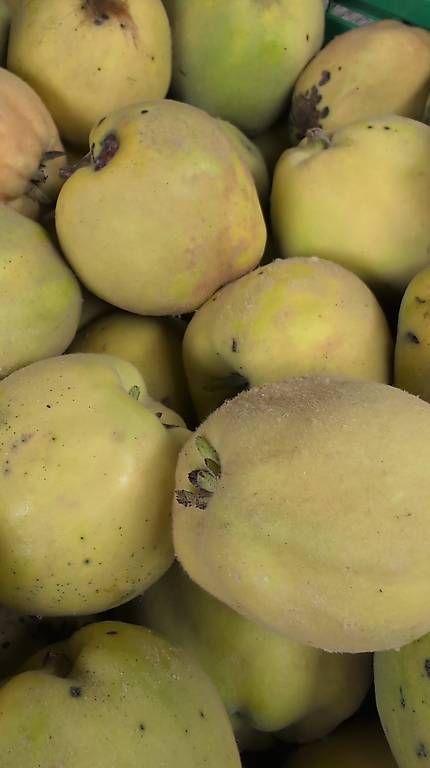 Cibi & Specialità: Quitten – Nuovo e nell'imballaggio originale da Dürnten venduto da dan_g5zw