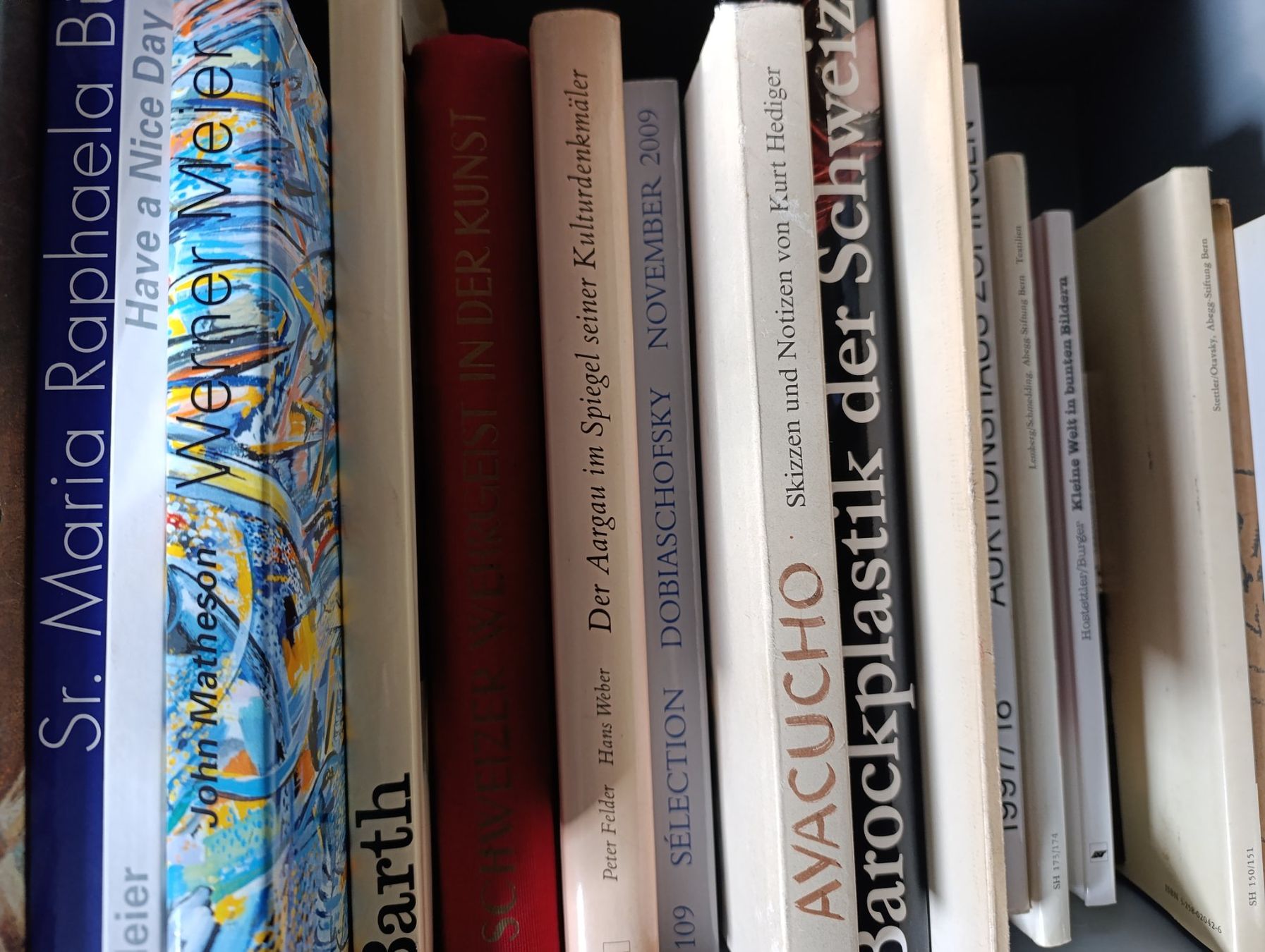 Libri: Lot Kunstbände und -bücher – Usato da zofingen venduto da Blume14 1