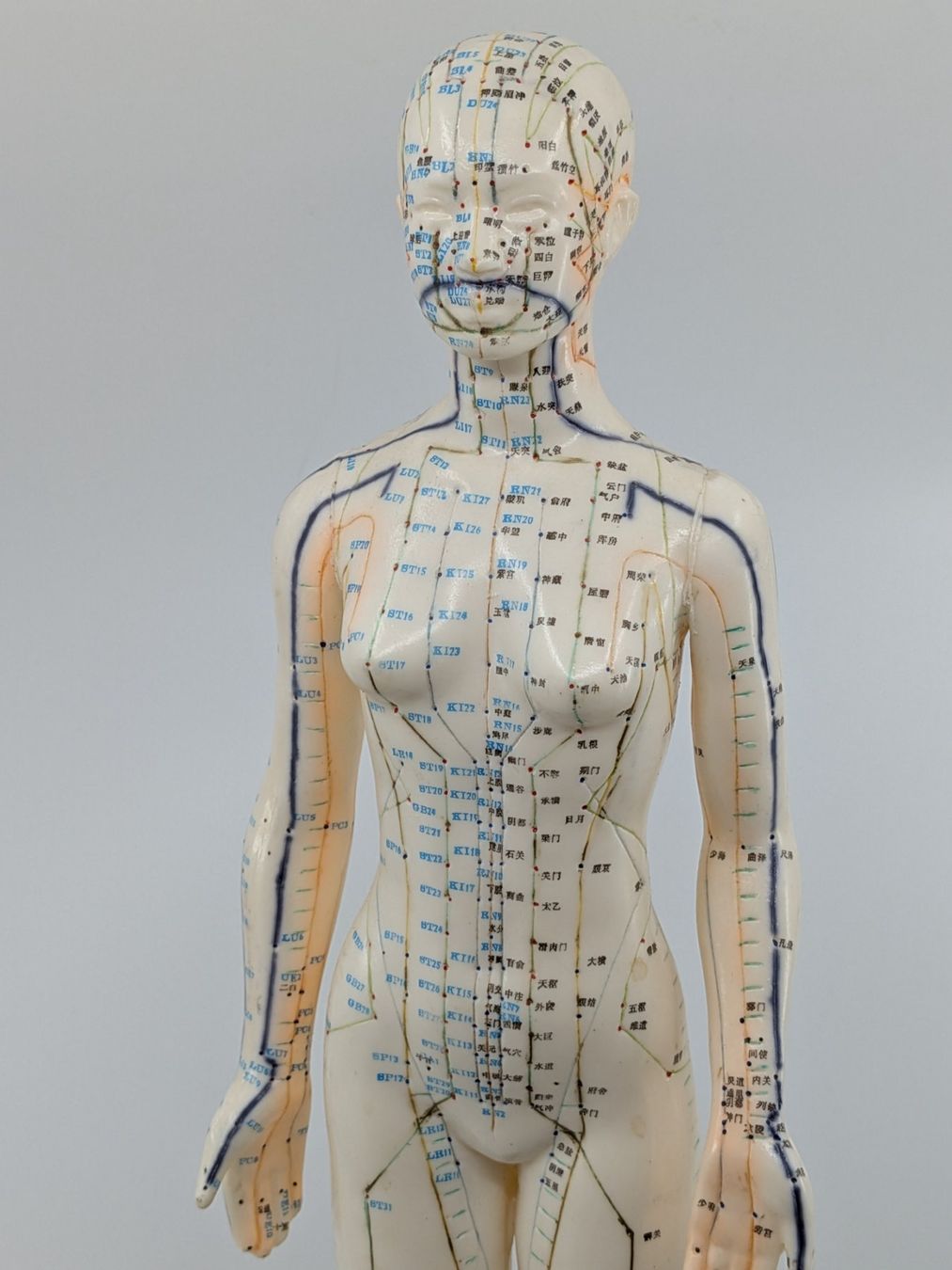 Statuette: Akupunktur Modell Figur – Usato da Emmen venduto da magelan 1