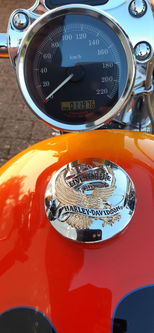 Harley-Davidson Chopper: Harley Davidson Sportster 883 – Usato da Inkwil venduto da Yukona 3