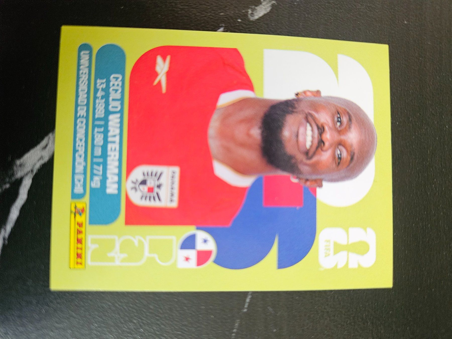 Panini Cartes à collectionner: PAN18 – D'occasion à Würenlingen par Dinli
