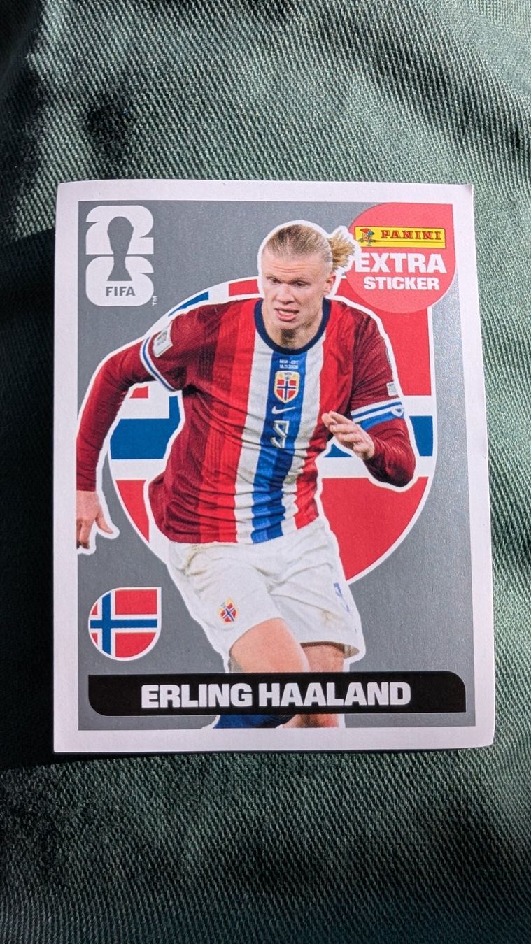 Panini Carte collezionabili: Panini Extra Sticker Silber Haaland – Nuovo (secondo la descrizione) da Mettmenstetten venduto da lubomirus