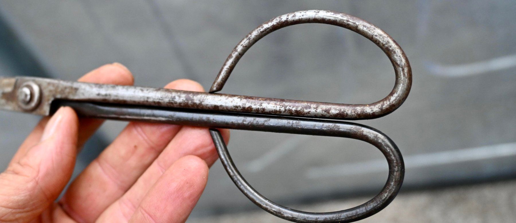 Alle Werkzeuge: alte BONSAISCHERE Länge 21cm – Gebraucht aus Pfaffhausen von mono_rec 9