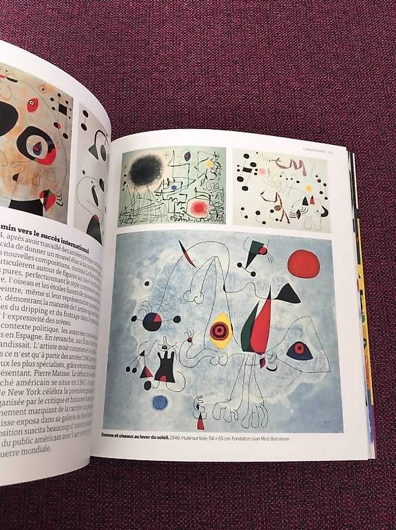Libri: Superbe livre  NEUF Joan Miro – Usato da Epalinges venduto da Kallem 3