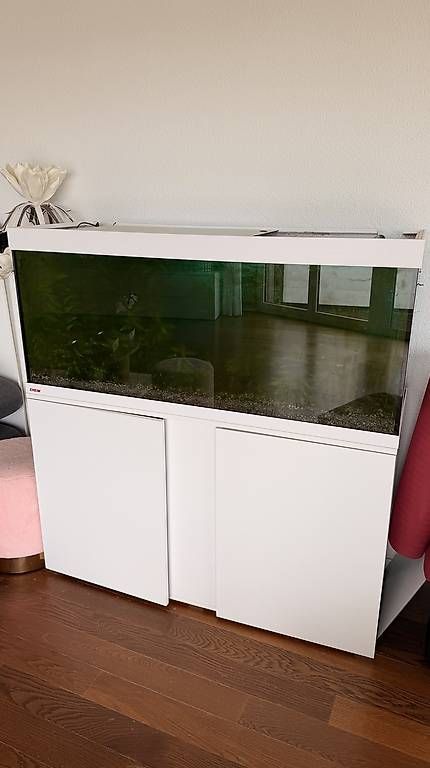 Acquari: Aquarium 240 Liter – Usato da Belp venduto da eva_tc8s