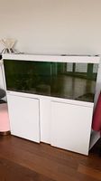 Aquarium 240 Liter