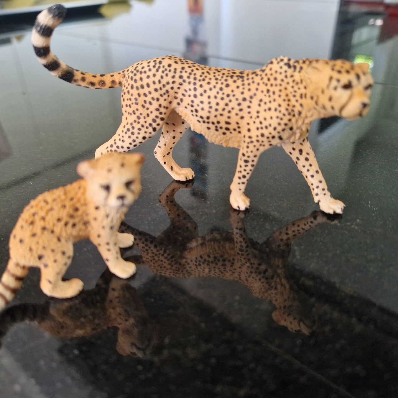 Schleich Statuette: Schleich Gepard, neuwertig – Usato da Gränichen venduto da sunchi07
