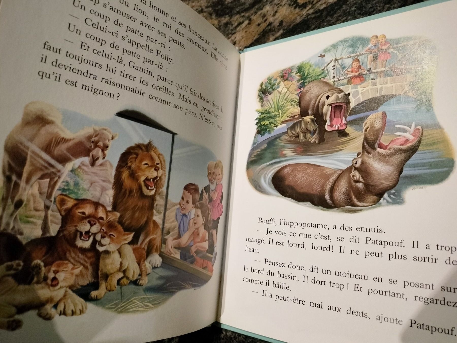 Libri: Martine au zoo dès 3 ans – Usato da Cortaillod venduto da rozinna 2