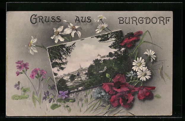 Cartes postales: Burgdorf, Teilansicht, Gänseblumen, Pas – D'occasion à Berlin par bartko-reher