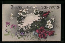 Burgdorf, Teilansicht, Gänseblumen, Pas