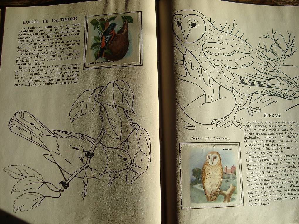 Alben: Les oiseaux – Gebraucht aus Fribourg von ruswil007 2