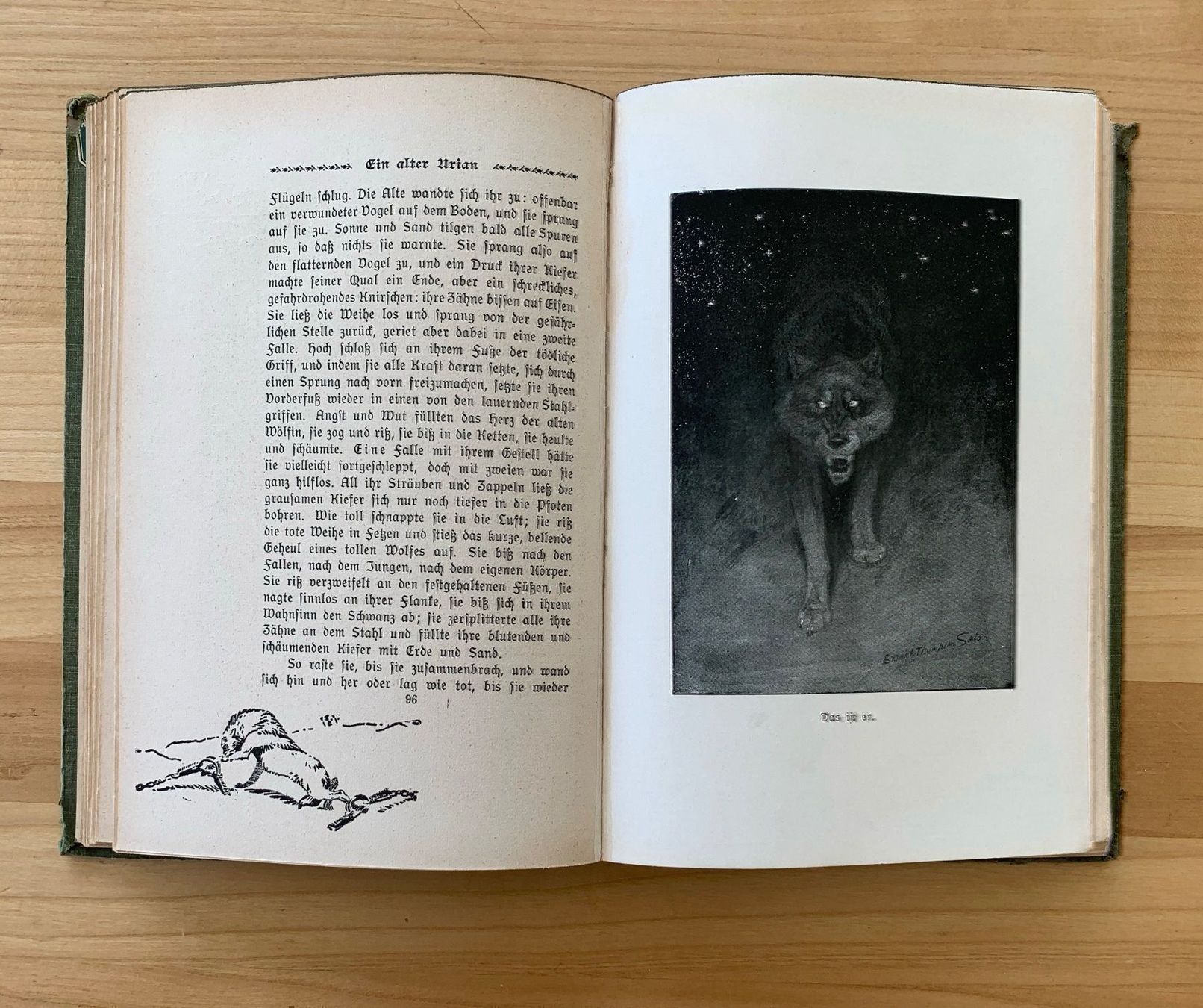 Libri: Tierhelden Kosmos – Usato da Zürich venduto da ruedigg 2