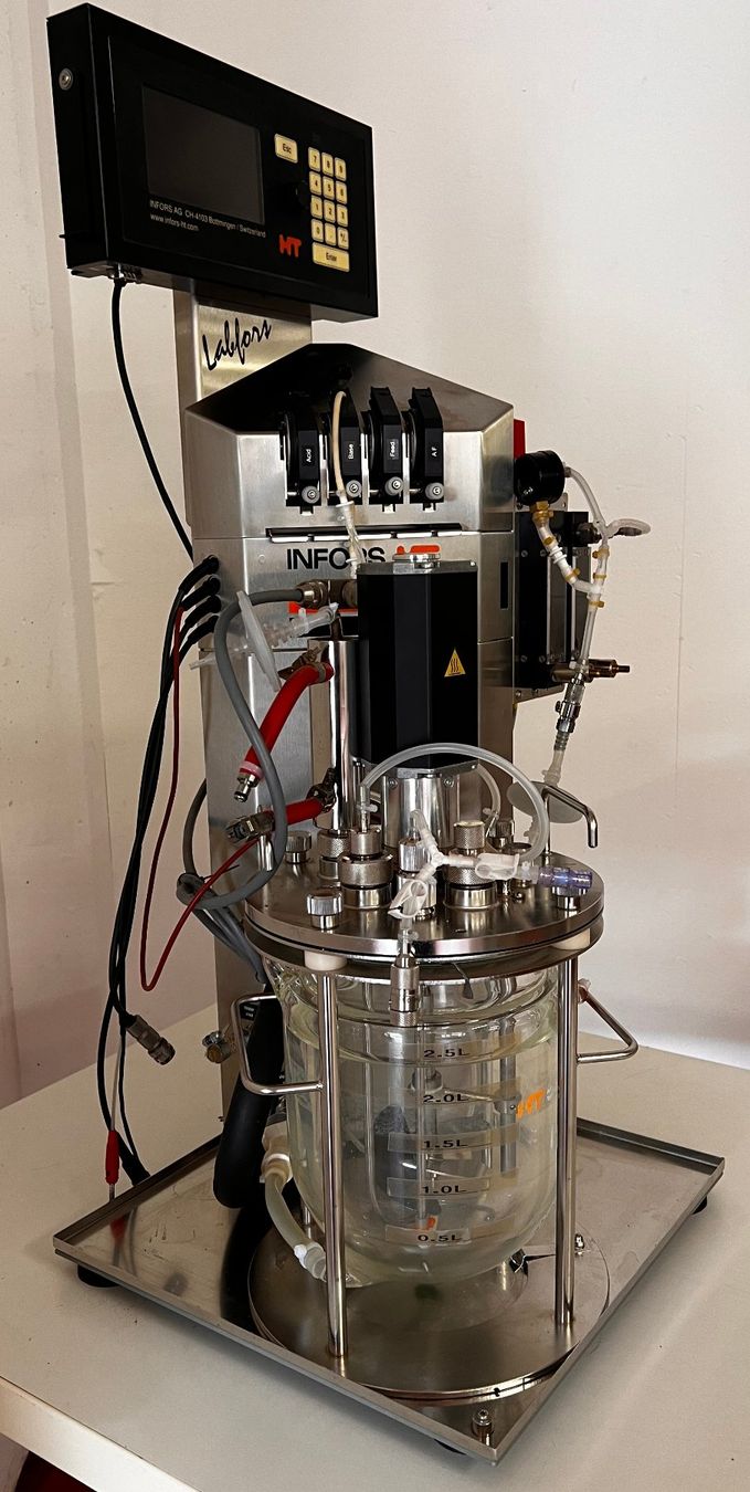 Tutte le macchine: Infors HT Labfors Bioreactor System 2.5L Vessel – Usato da Niederdorf venduto da LeptonAG_Labor