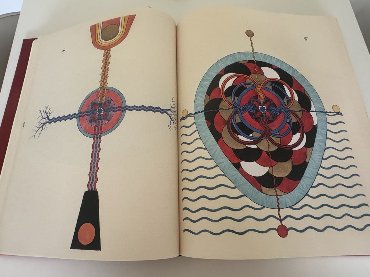 Libri: The Red Book - Carl Gustav Jung – Nuovo (secondo la descrizione) da Henniez venduto da ROCKZILLA 3