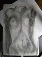 Akt Frauen Körper Zeichnung 48 cm x 34 cm