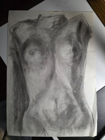Akt Frauen Körper Zeichnung 48 cm x 34 cm