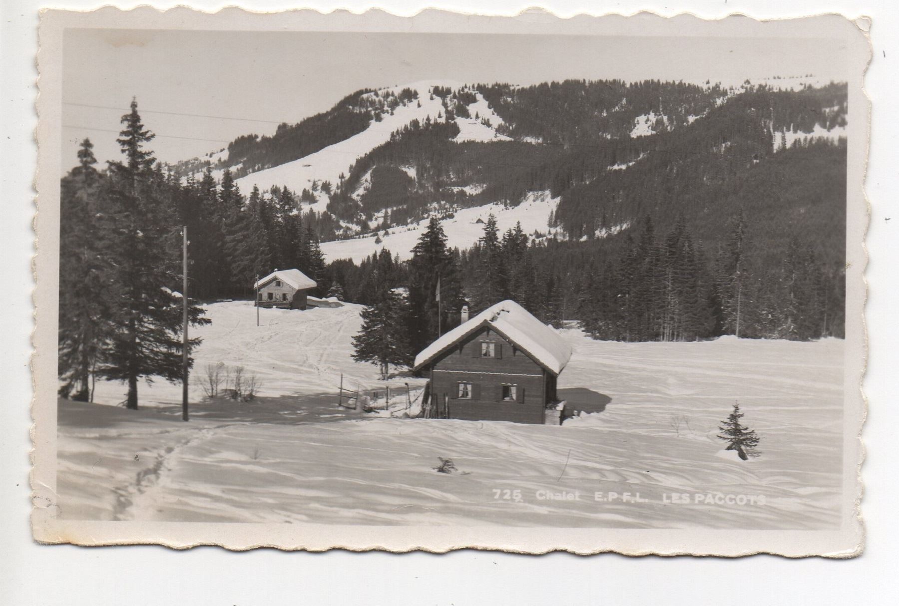 Cartoline postali: LES PACCOTS Chalet E.P.F.L – Nuovo (secondo la descrizione) da Jona venduto da philajona