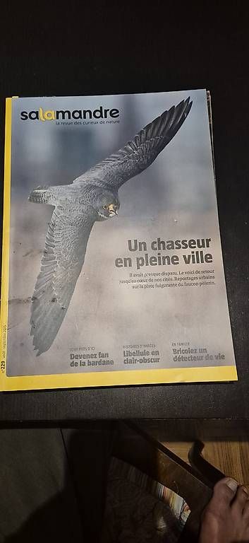 Riviste & Magazine: La Salamandre 6 n° – Usato da Lausanne venduto da angelalone 2