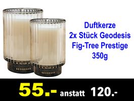 🔴 Duftkerze 2x Stück GEODESIS Fig-Tree Prestige 350g /588B