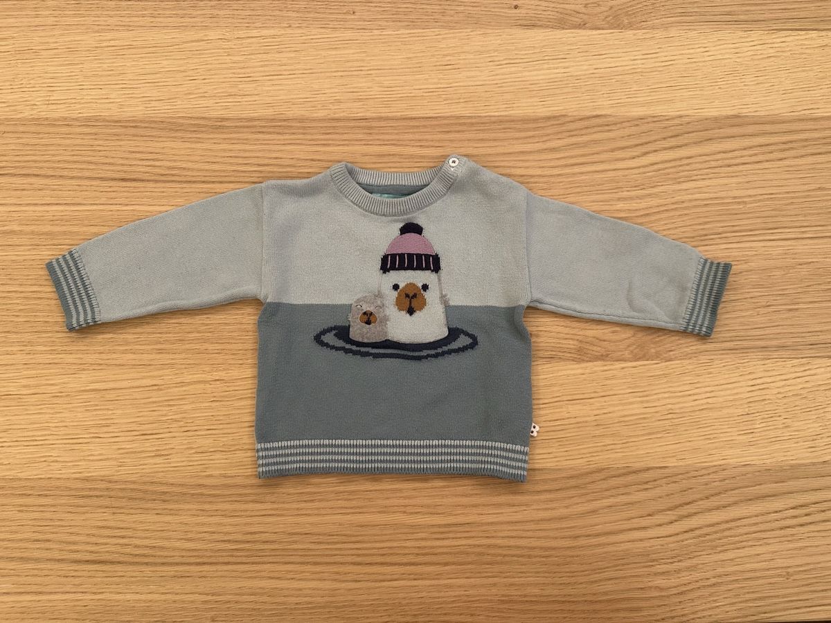 Maglioni & Felpe: Kinder Pullover Obaïbi Grösse 3M mit Robbenmotiv hellblau – Usato da Zürich venduto da emily.sch
