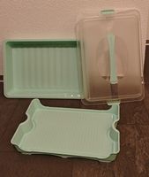Kuchencontainer mint z.B. Muffins oder Blechkuchen