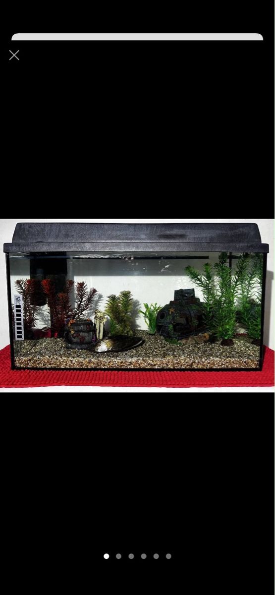 Acquari: Aquarium 60X30X30 54Liter – Difettoso da Basel venduto da bau_6tk8