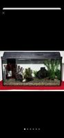 Aquarium 60X30X30 54Liter