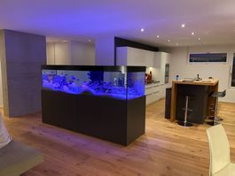 Aquarium 250x70x70