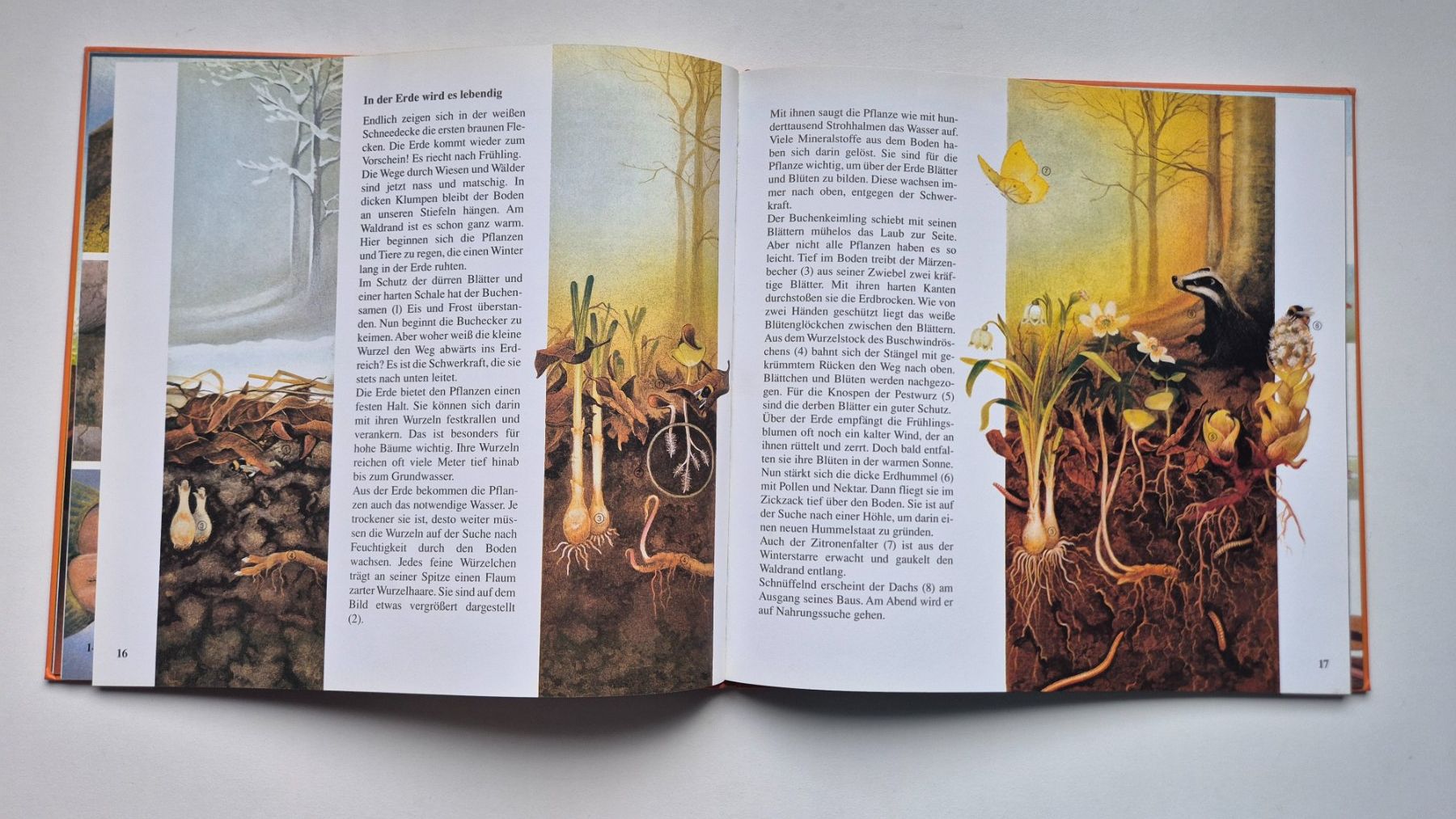 Bücher: Die Erd Uhr      🧡🌍  💦        Una Jacobs – Gebraucht aus Niederweningen von Obson 5