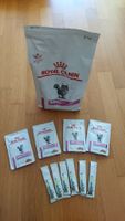 Royal Canin Renal Katze, Nass- und Trockenfutter 🐾🐱