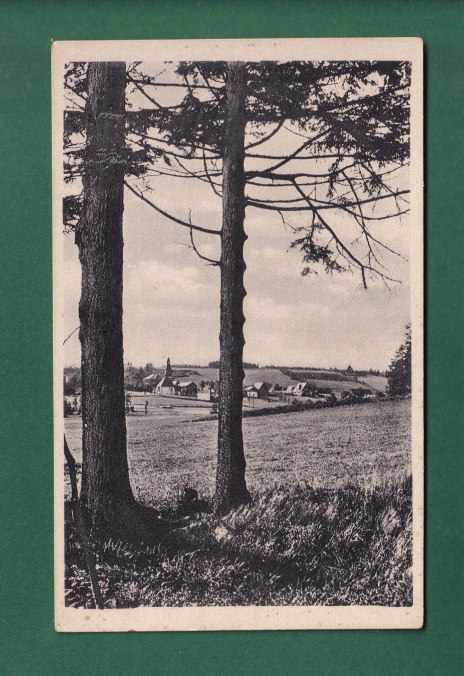 Cartes postales: SCHELLERHAU – D'occasion à Pully par nicecards-shop