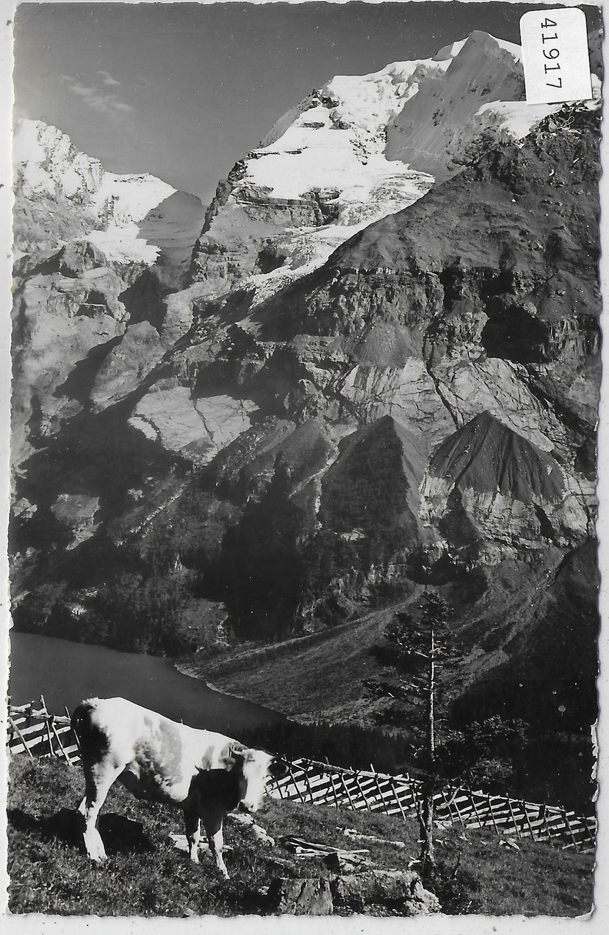Cartoline postali: Oeschinensee mit Kuh – Usato da Ettingen venduto da Kartenplanet