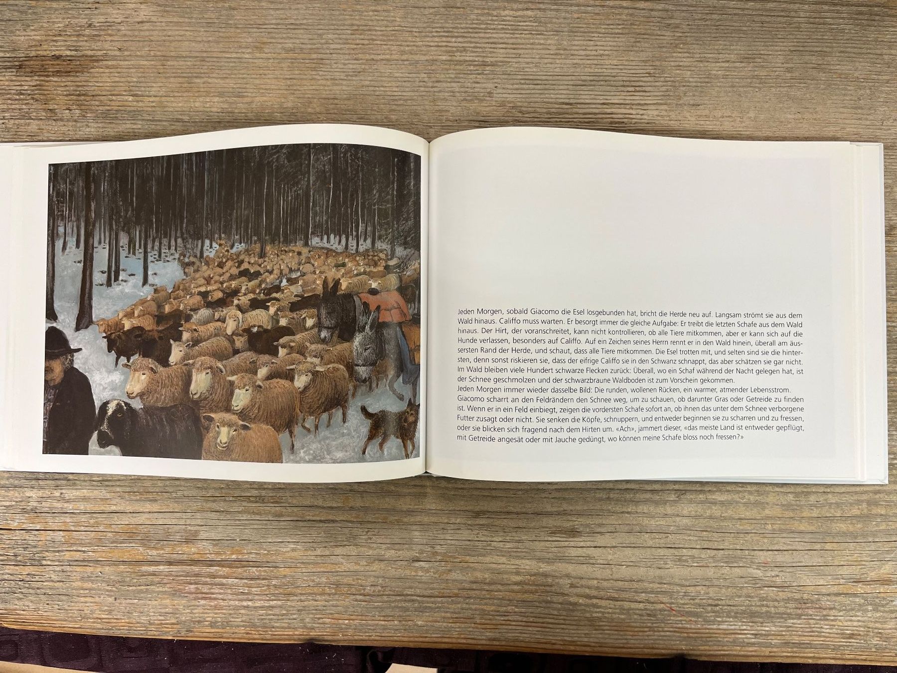 Libri: Bergmann Peter  Winterweide mit einem Schafhirten unterwegs – Usato da Pfäffikon ZH venduto da buresi 6