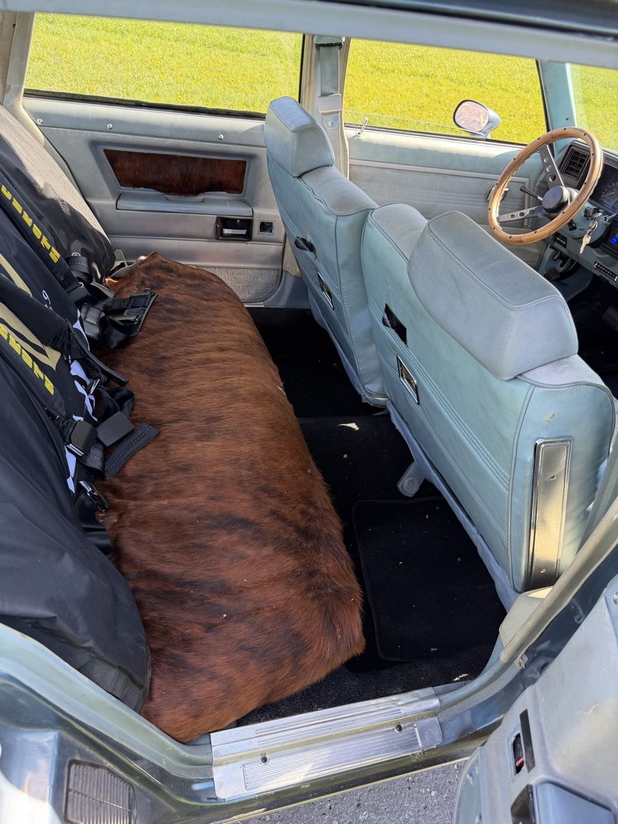 Chevrolet Automobili: Chevrolet Malibu 5.0 V8 – Usato da Buchs SG venduto da cayenneturbo96 5