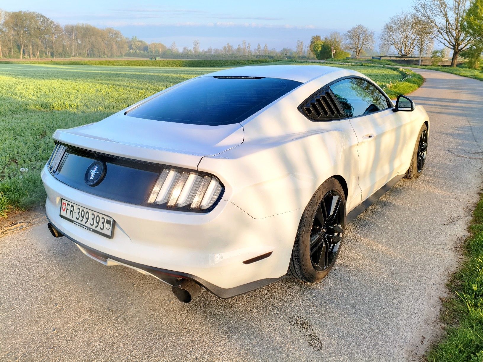Ford Automobili: Ford Mustang Fastback – Usato da Dompierre FR venduto da F.Blanco 3