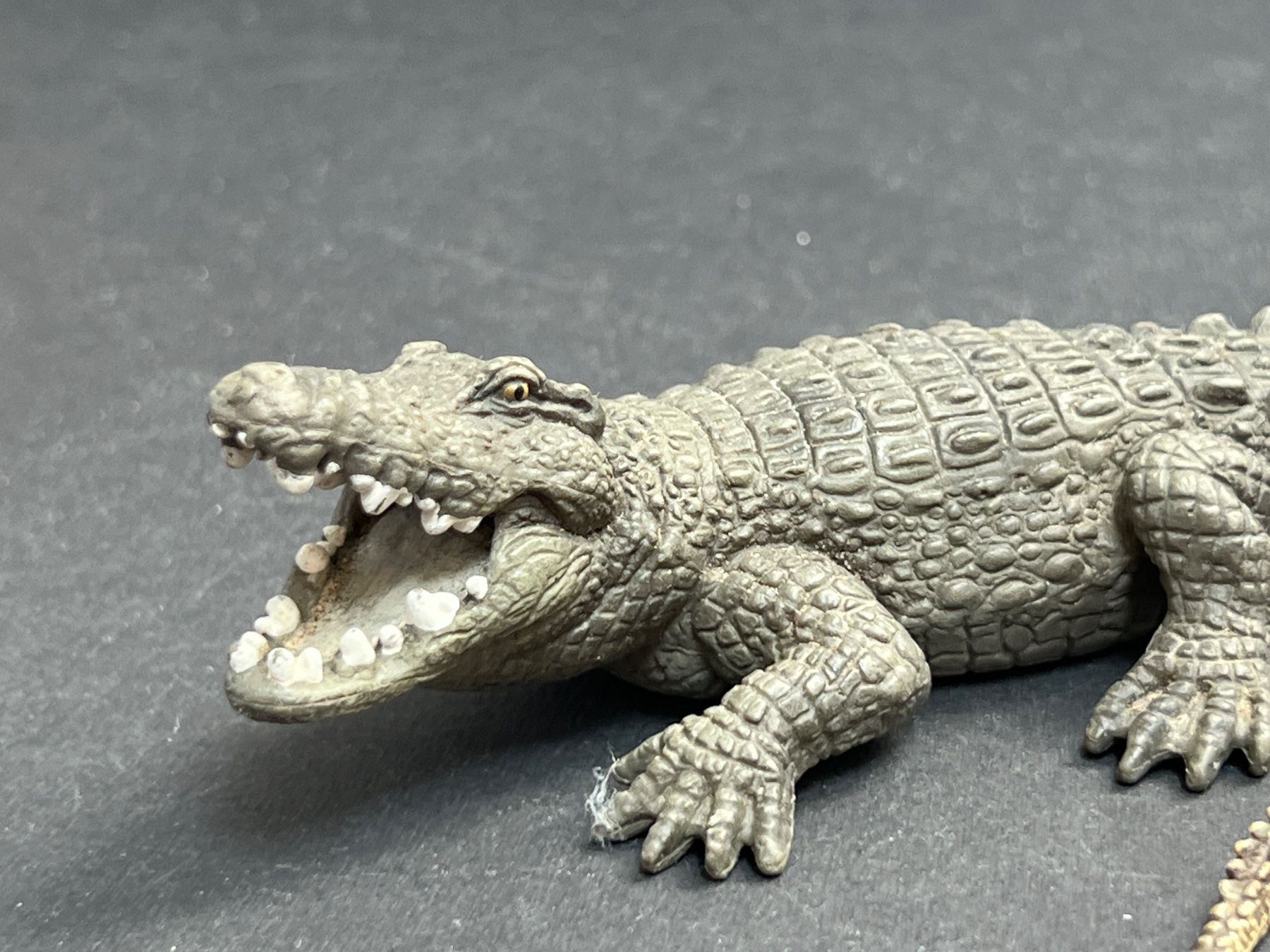 Schleich Statuette: Schleich Krokodil Krokodiljunges Top – Usato da Ennetbaden venduto da mapa05 2