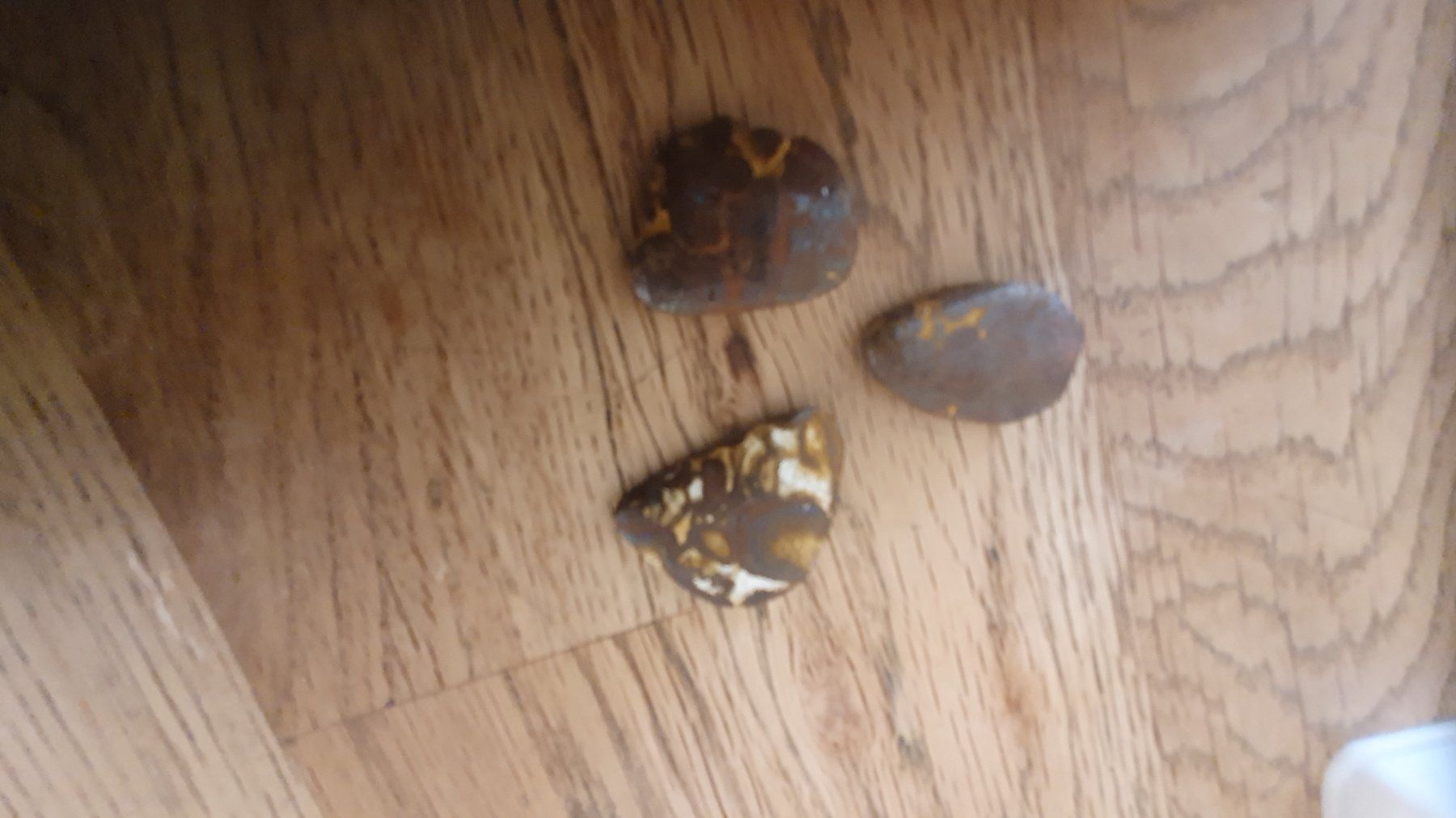 Pietre preziose: Boulder Opal – Usato da Flawil venduto da Pinkmalibu 8