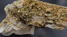 Gypsum (Selenite) with Pyrite – Niccioleta Mine, Tuscany, IT