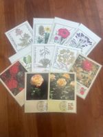 12 Maximumkarten Wildblumen + Rosen Deutschland   (R727)