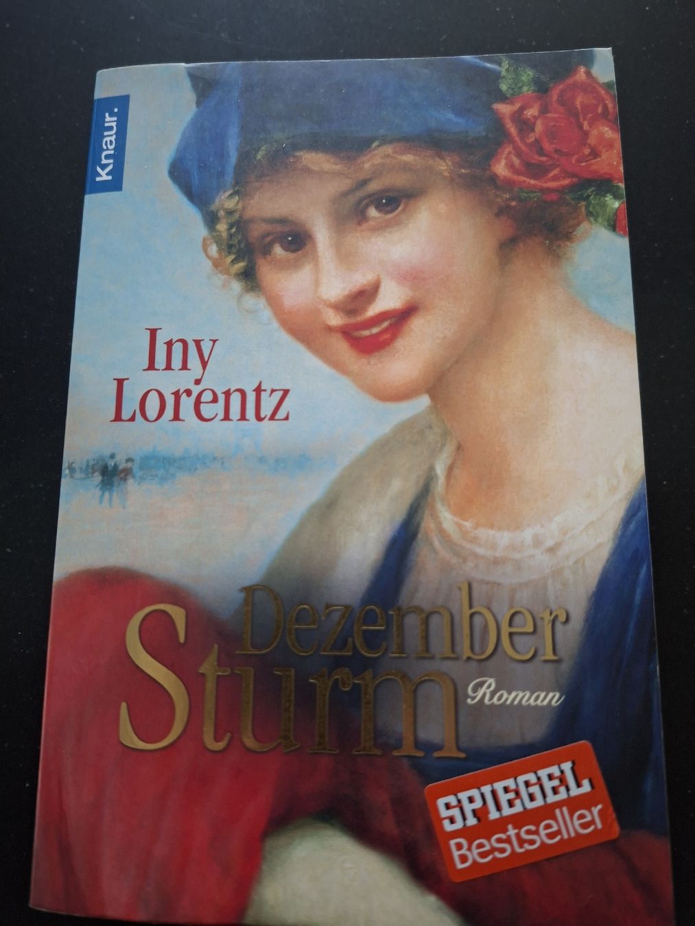 Libri: Iny Lorenz, Dezember Sturm, Taschenbuch  – Usato da Grindelwald venduto da carro5