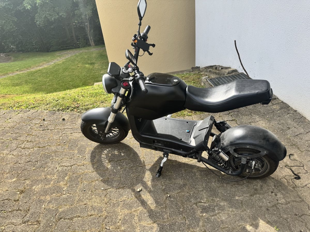 Züriflizzer Scooter: City Max RS – Usato da Rudolfstetten venduto da Franko84 1