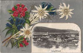 Karte Schöftland 1909