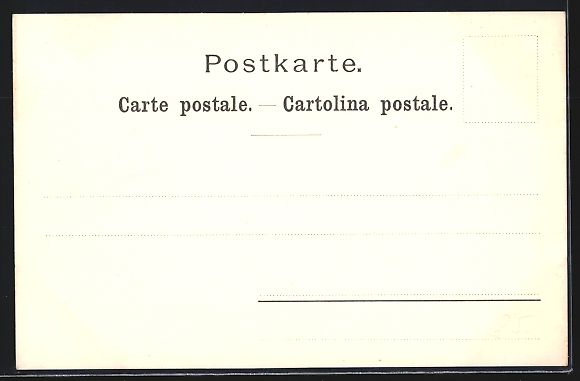 Cartoline postali: Litho Brienz, Axalp, Ortsansicht in den  – Usato da Berlin venduto da bartko-reher 1